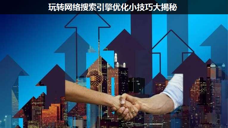 玩轉(zhuǎn)網(wǎng)絡(luò)搜索引擎優(yōu)化小技巧大揭秘