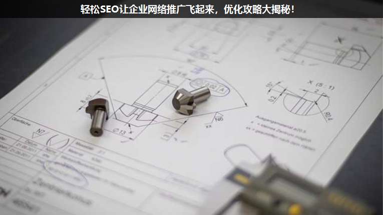 輕松SEO讓企業(yè)網(wǎng)絡推廣飛起來,優(yōu)化攻略大揭秘!