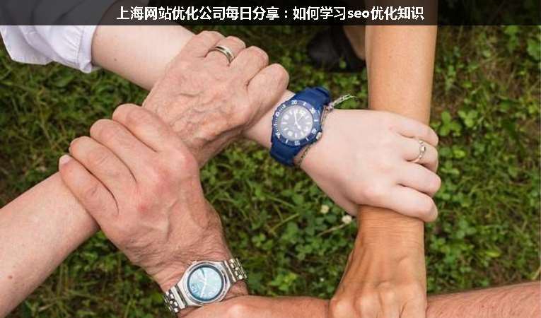 上海網站優(yōu)化公司每日分享：如何學習seo優(yōu)化知識